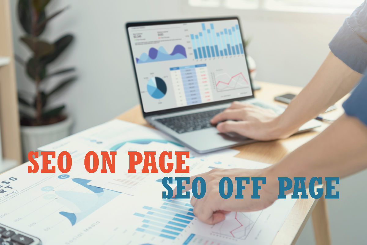 Seo On Page y Seo Off Page